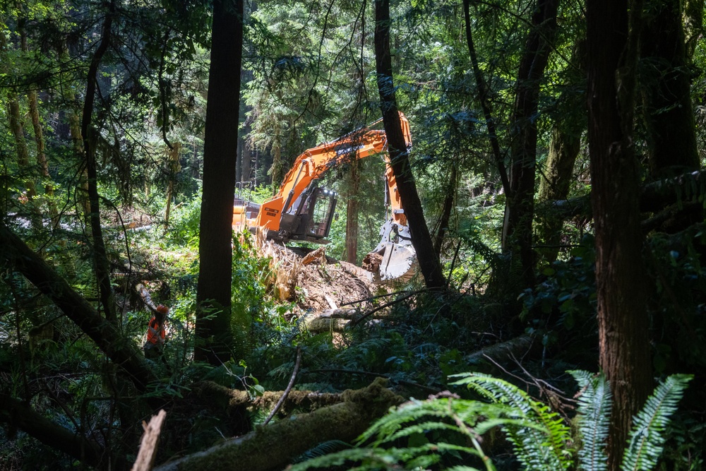 124th CES contribute to Redwoods Rising through IRT