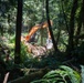 124th CES contribute to Redwoods Rising through IRT