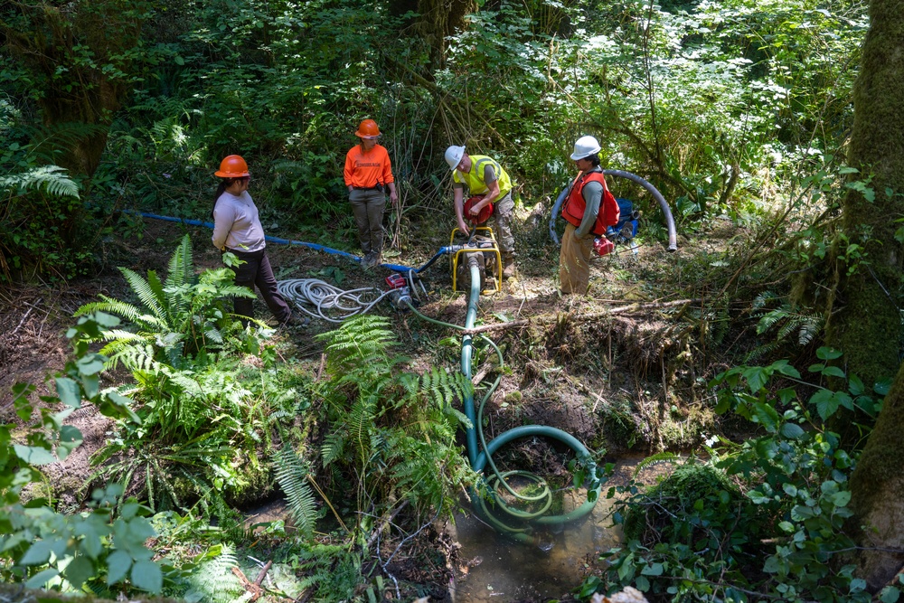 124th CES contribute to Redwoods Rising through IRT
