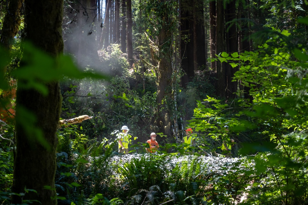 124th CES contribute to Redwoods Rising through IRT