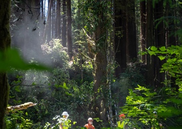 124th CES contribute to Redwoods Rising through IRT