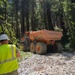 124th CES Aids Redwoods Rising Project Through IRT