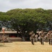 3d Marine Littoral Regiment change of command ceremony