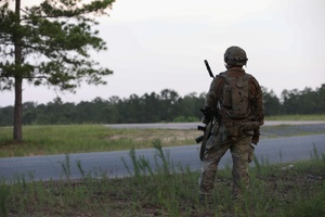 Pacific Pulse: January 05