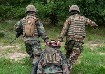 Exercise Sea Breeze 2025