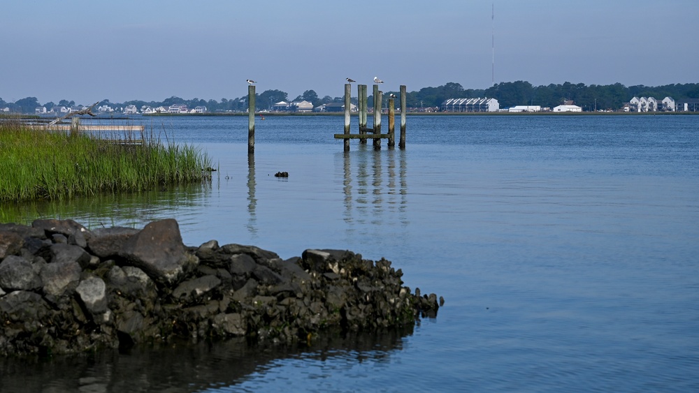 From Tarmac to Terrain: Air Guard Engineers Train and Build at Assateague Island