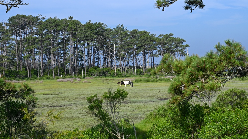 From Tarmac to Terrain: Air Guard Engineers Train and Build at Assateague Island