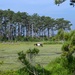 From Tarmac to Terrain: Air Guard Engineers Train and Build at Assateague Island