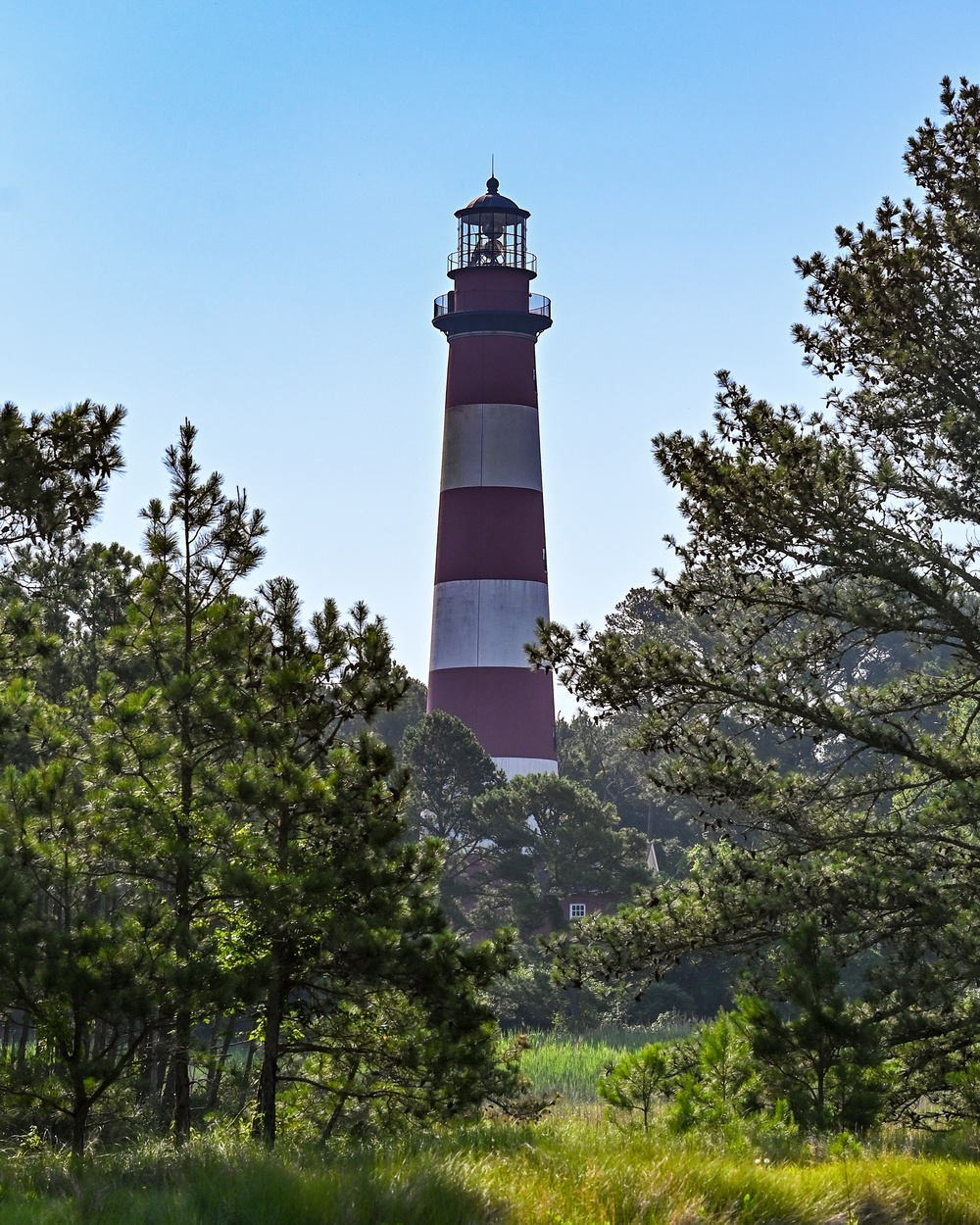 From Tarmac to Terrain: Air Guard Engineers Train and Build at Assateague Island