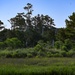 From Tarmac to Terrain: Air Guard Engineers Train and Build at Assateague Island