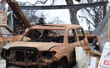 Debris removal in the Pacific Palisades