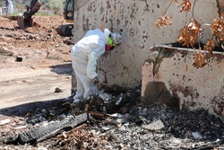 Debris removal in the Pacific Palisades [Image 5 of 6]