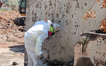 Debris removal in the Pacific Palisades