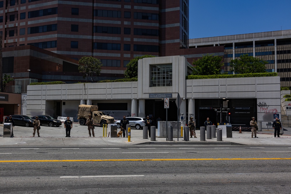 U.S. Marines, Department of Homeland Security guard federal building