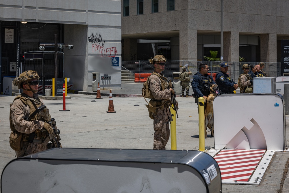 U.S. Marines, Department of Homeland Security guard federal building