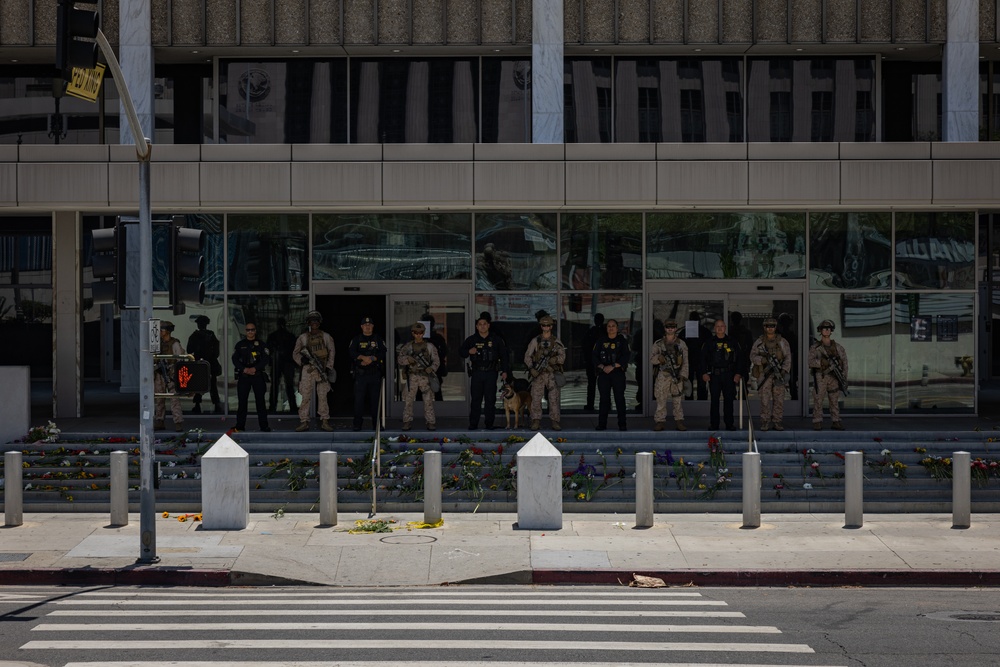 U.S. Marines, Department of Homeland Security guard federal building