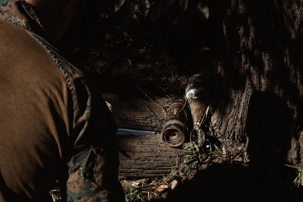MRF-D 25.3: U.S. Marines and partner nation forces participate in Operation Render Safe 25.1