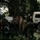 MRF-D 25.3: U.S. Marines and partner nation forces participate in Operation Render Safe 25.1