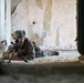 BALTOPS 25 - Multinational Close Quarters Battle Training