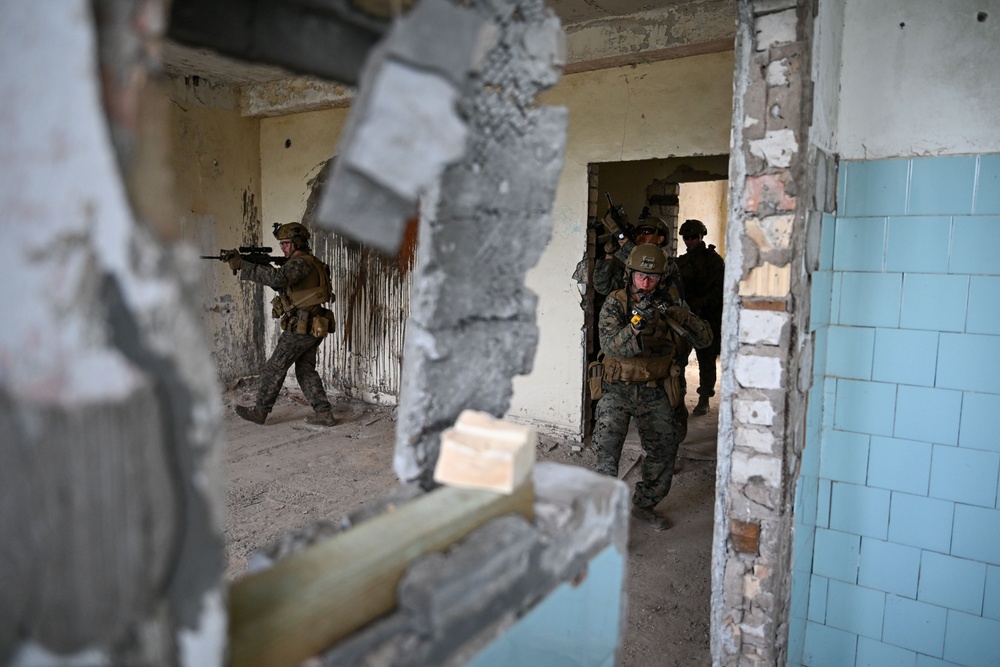 BALTOPS 25 - Multinational Close Quarters Battle Training
