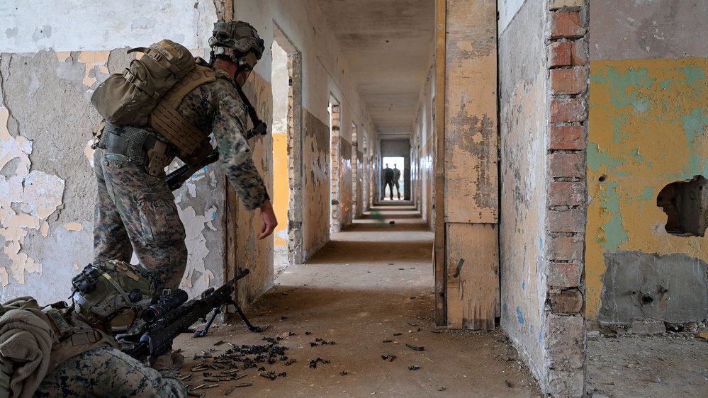 BALTOPS 25 - Multinational Close Quarters Battle Training