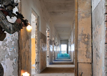 BALTOPS 25 - Multinational Close Quarters Battle Training