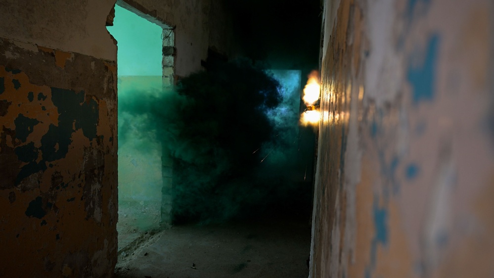 BALTOPS 25 - Multinational Close Quarters Battle Training