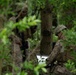 2/14 Marines Operate HIMARS in Poland during BALTOPS 25