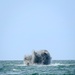 BALTOPS 2025 - Expeditionary Mine Countermeasures