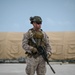 DoD, interagency partners conduct an illegal alien removal flight