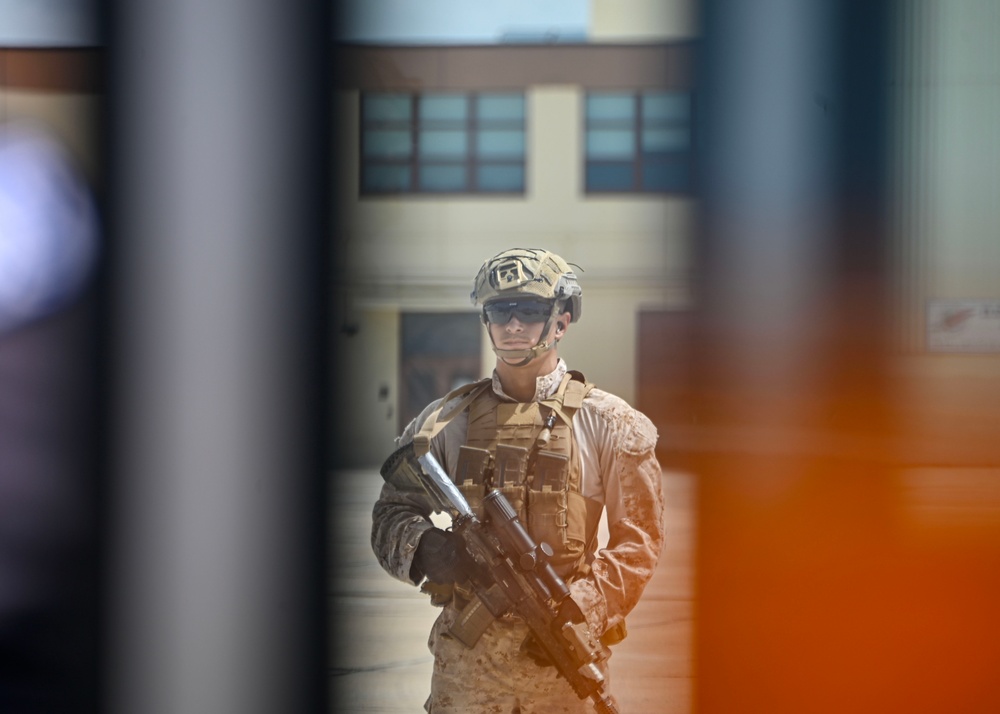 DoD, interagency partners conduct an illegal alien removal flight