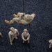 Rappel Tower | 1st Regiment, Advanced Camp