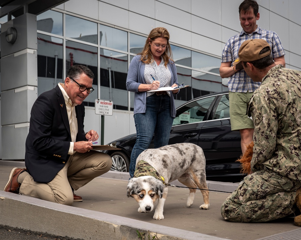 NAVWAR Celebrates Bring Your Dog to Work Day