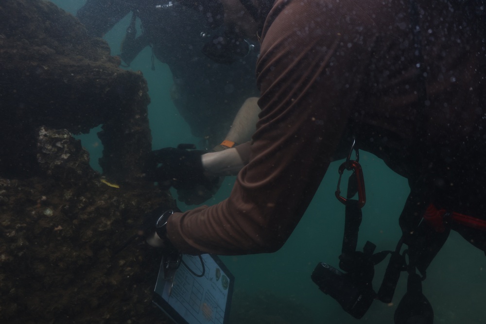 MDSU-1 performs measurement dive on USS Arizona