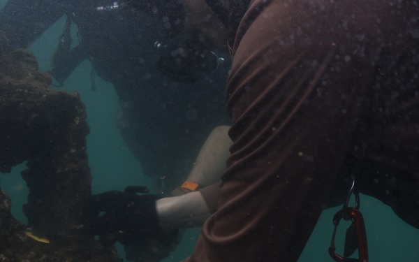 MDSU-1 performs measurement dive on USS Arizona