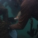MDSU-1 performs measurement dive on USS Arizona