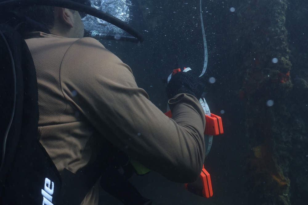MDSU-1 performs measurement dive on USS Arizona