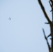 U.S. Soldiers test C-UAS integration for situational training exercises during Project Flytrap