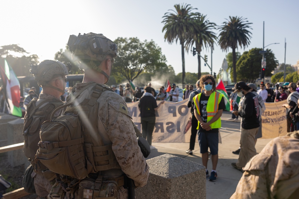 U.S. Marines, Department of Homeland Security police guard federal building