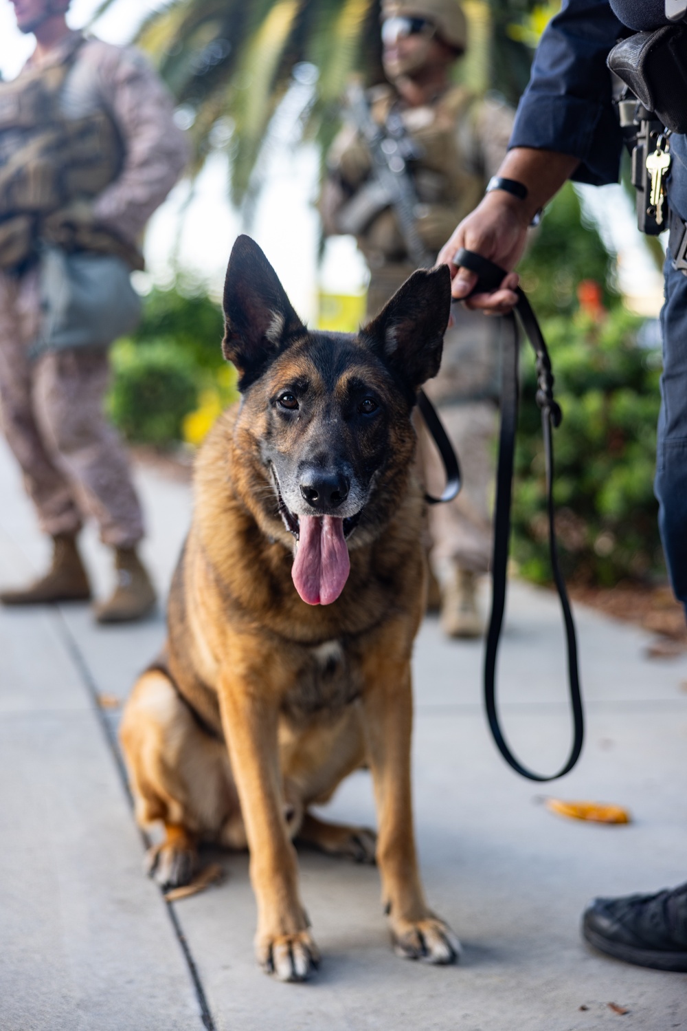 U.S. Marines, Department of Homeland Security police guard federal building