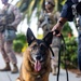 U.S. Marines, Department of Homeland Security police guard federal building