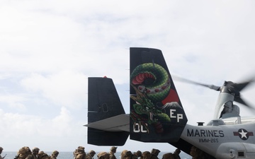 31st MEU | VMM 265 (Rein.) conducts flight operations