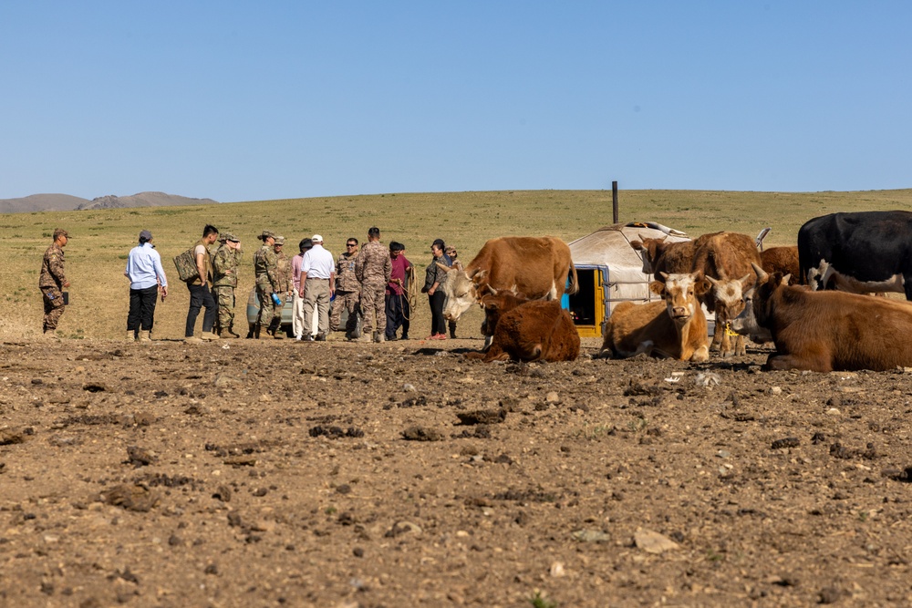 [Kaahn Quest 2025] U.S. Army Veterinarians Train with MAF Veterinarians at Local Farm