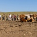 [Kaahn Quest 2025] U.S. Army Veterinarians Train with MAF Veterinarians at Local Farm