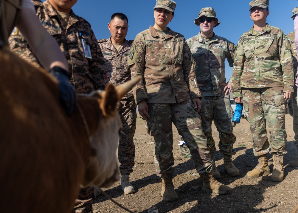 [Kaahn Quest 2025] U.S. Army Veterinarians Train with MAF Veterinarians at Local Farm