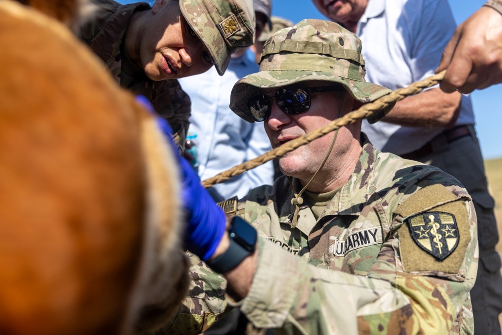 [Kaahn Quest 2025] U.S. Army Veterinarians Train with MAF Veterinarians at Local Farm