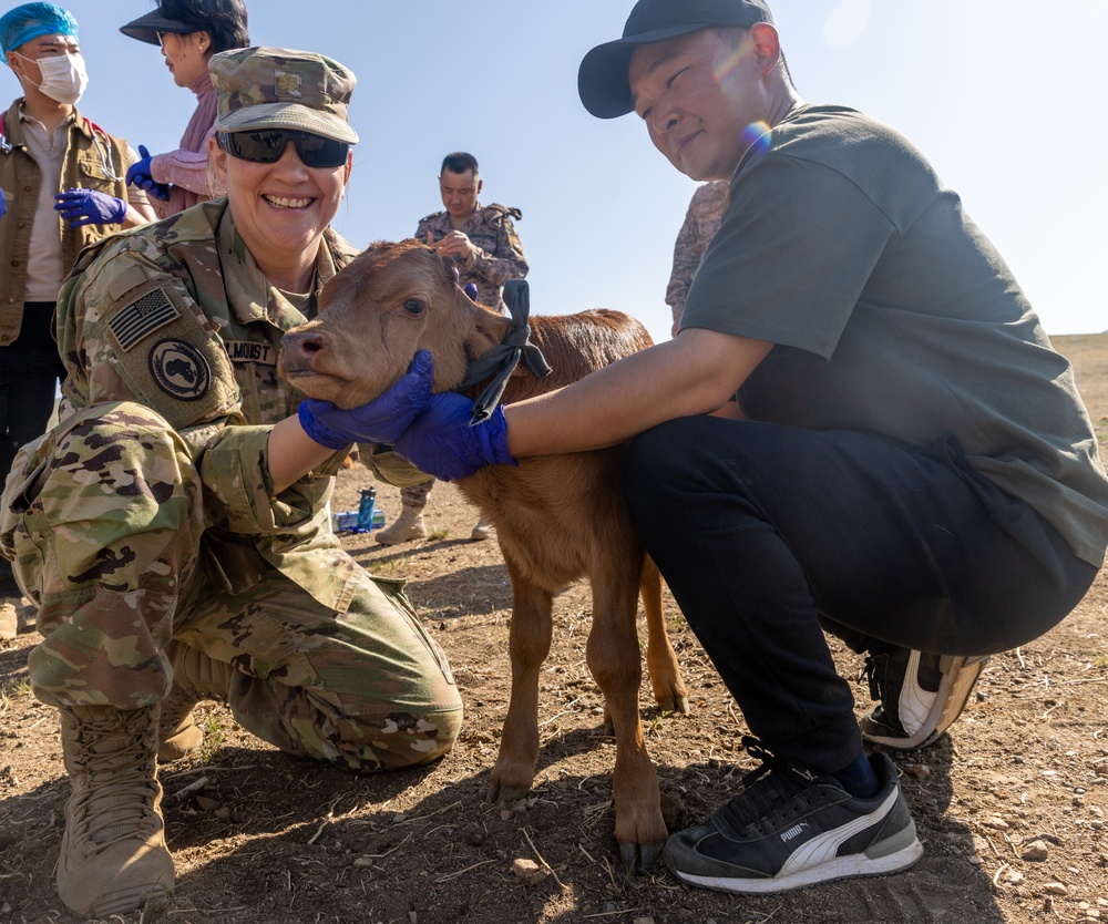 [Kaahn Quest 2025] U.S. Army Veterinarians Train with MAF Veterinarians at Local Farm