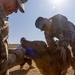 [Kaahn Quest 2025] U.S. Army Veterinarians Train with MAF Veterinarians at Local Farm
