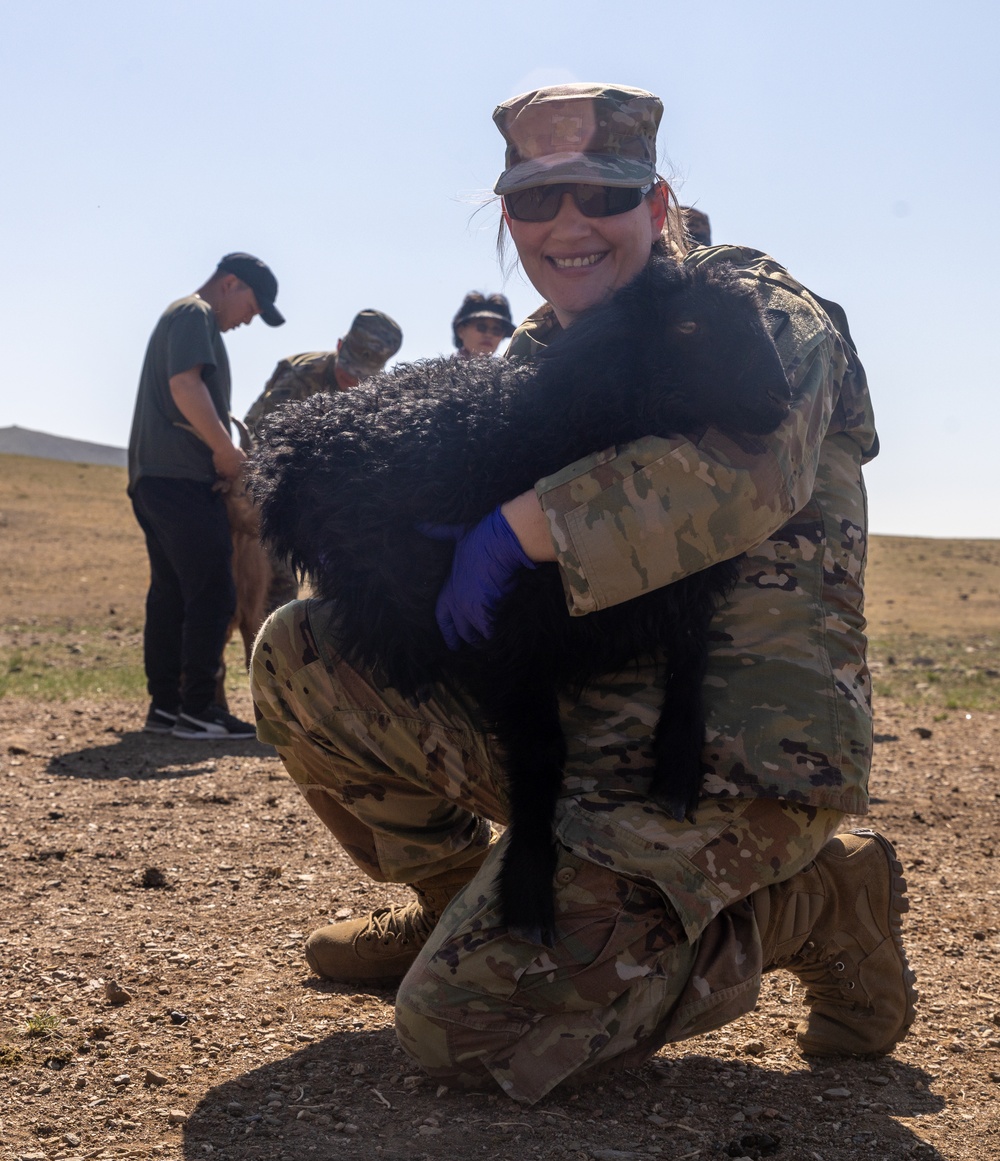 [Kaahn Quest 2025] U.S. Army Veterinarians Train with MAF Veterinarians at Local Farm