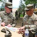 DCARNG Land Component Command Annual Training